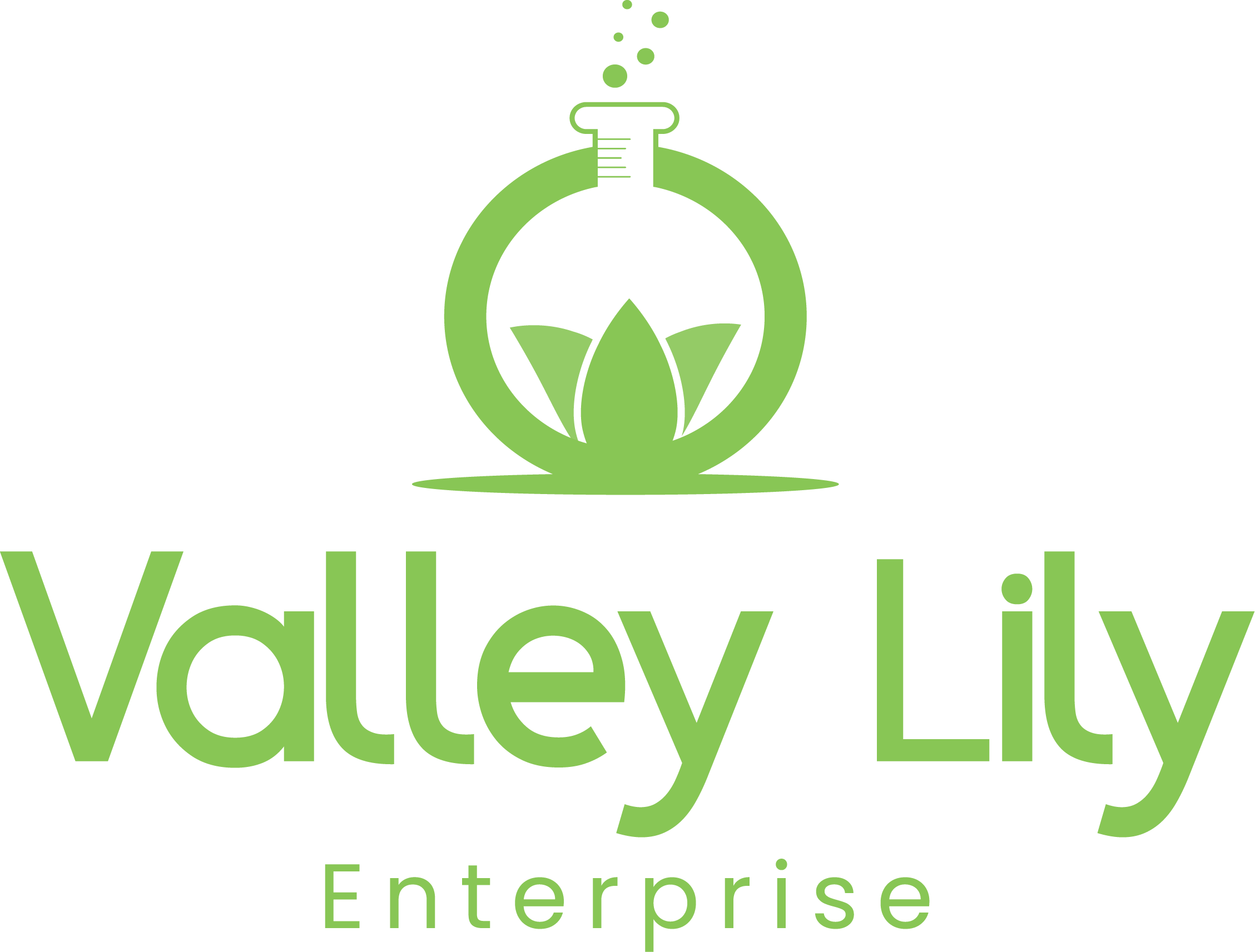 Shanghai%20ValleyLily%20Enterprise%20Co.,%20Ltd