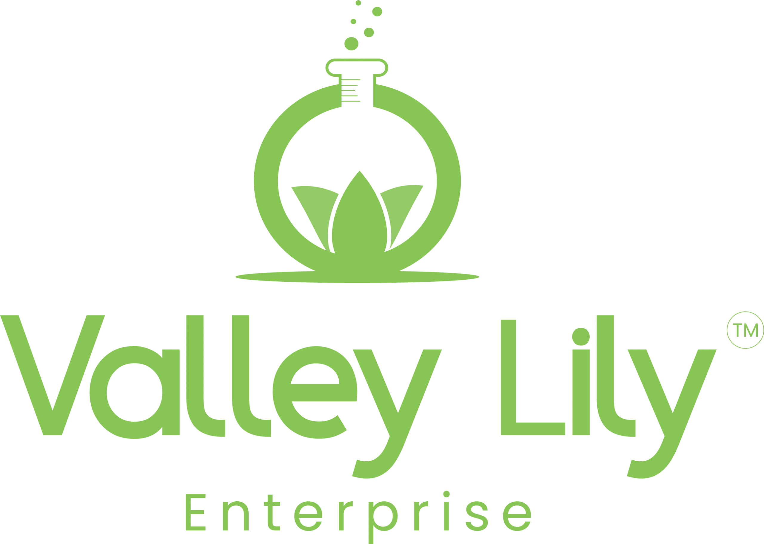 Shanghai%20ValleyLily%20Enterprise%20Co.,%20Ltd