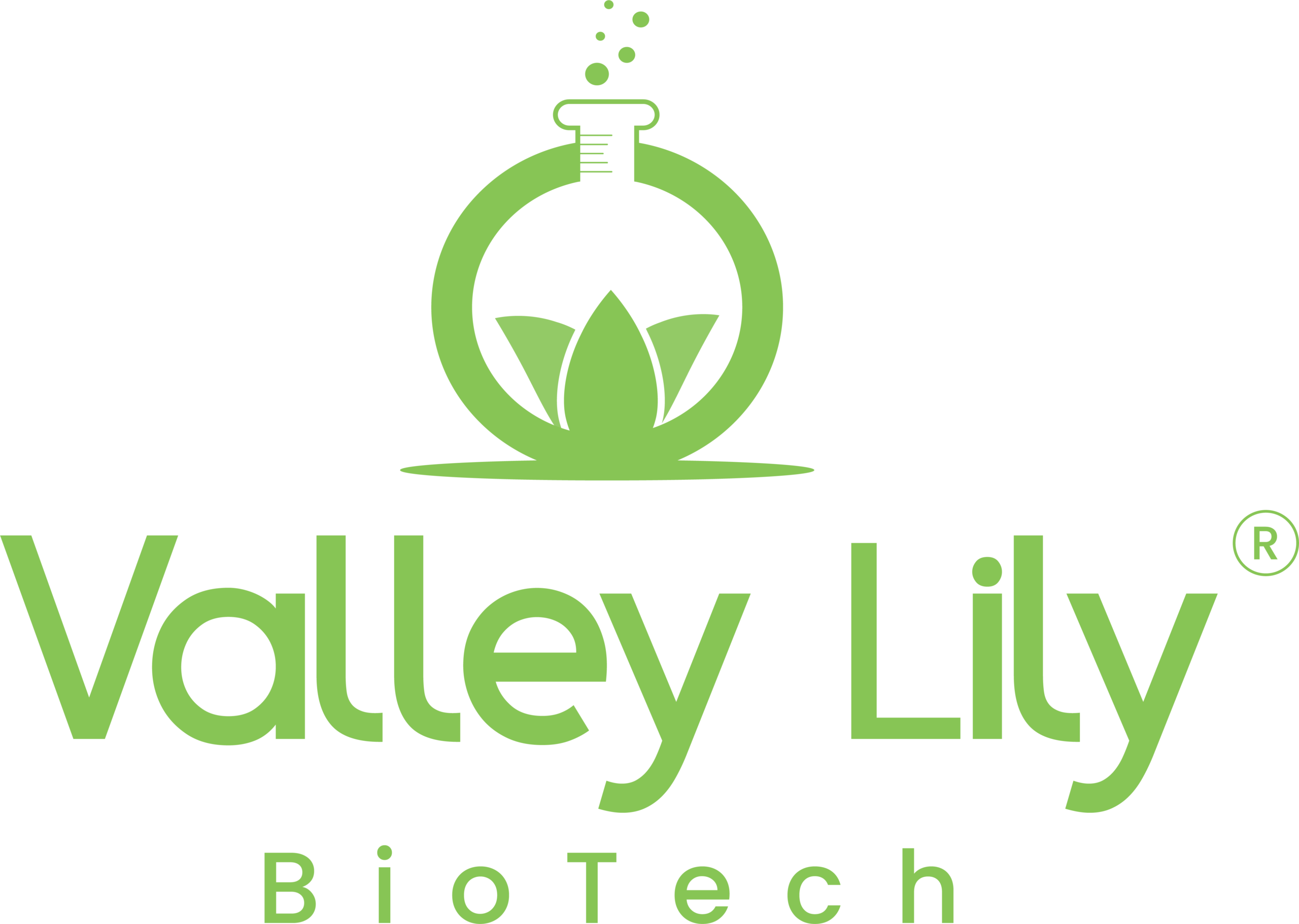 Shanghai%20Valley%20Lily%20BioTech%20Co.%20Ltd