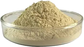 Shanghai%20ValleyLily%20Enterprise%20Co.,%20Ltd