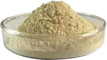Shanghai%20ValleyLily%20Enterprise%20Co.,%20Ltd