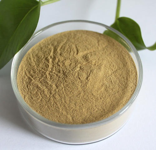 Shanghai ValleyLily Enterprise Co., Ltd.