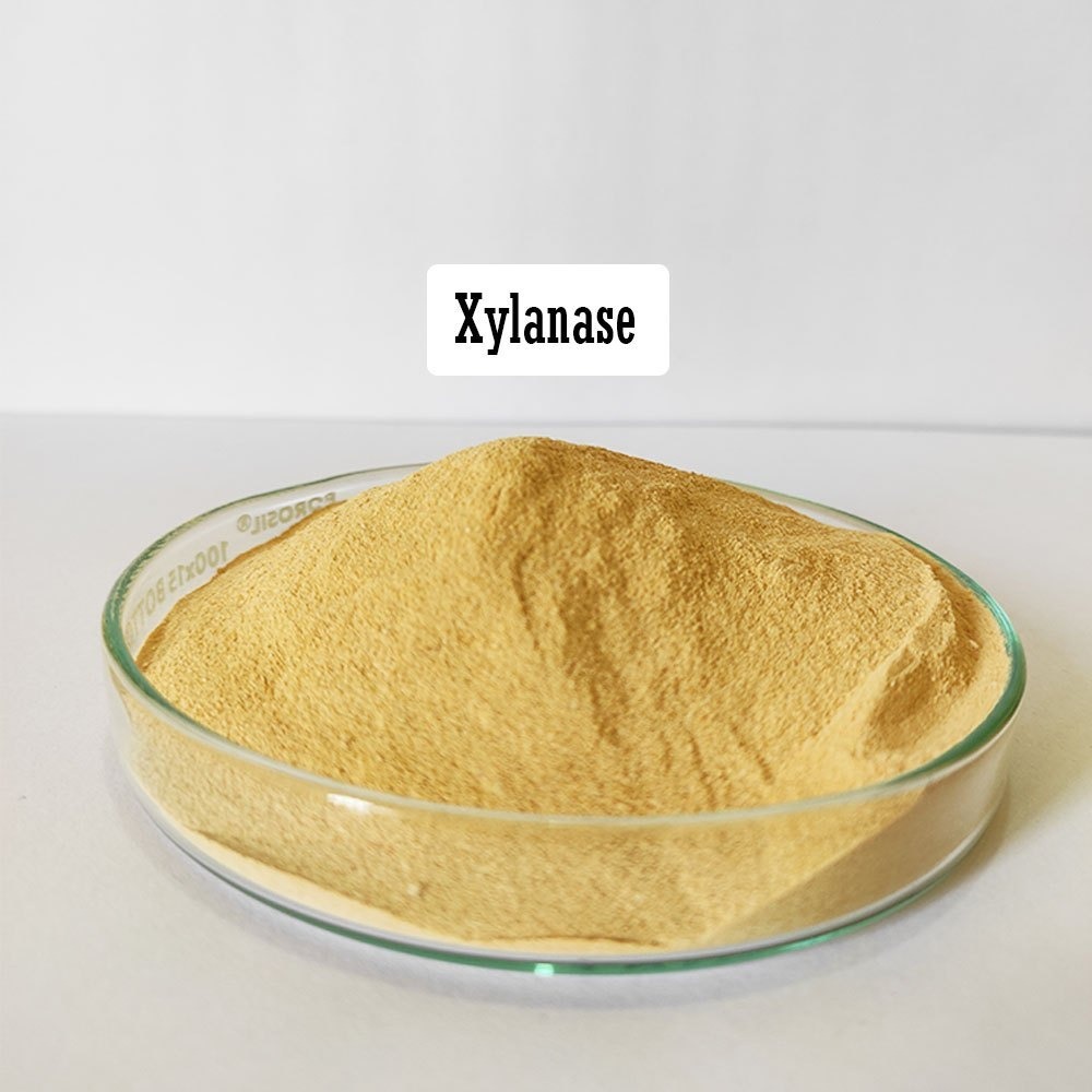 Shanghai ValleyLily Enterprise Co., Ltd.