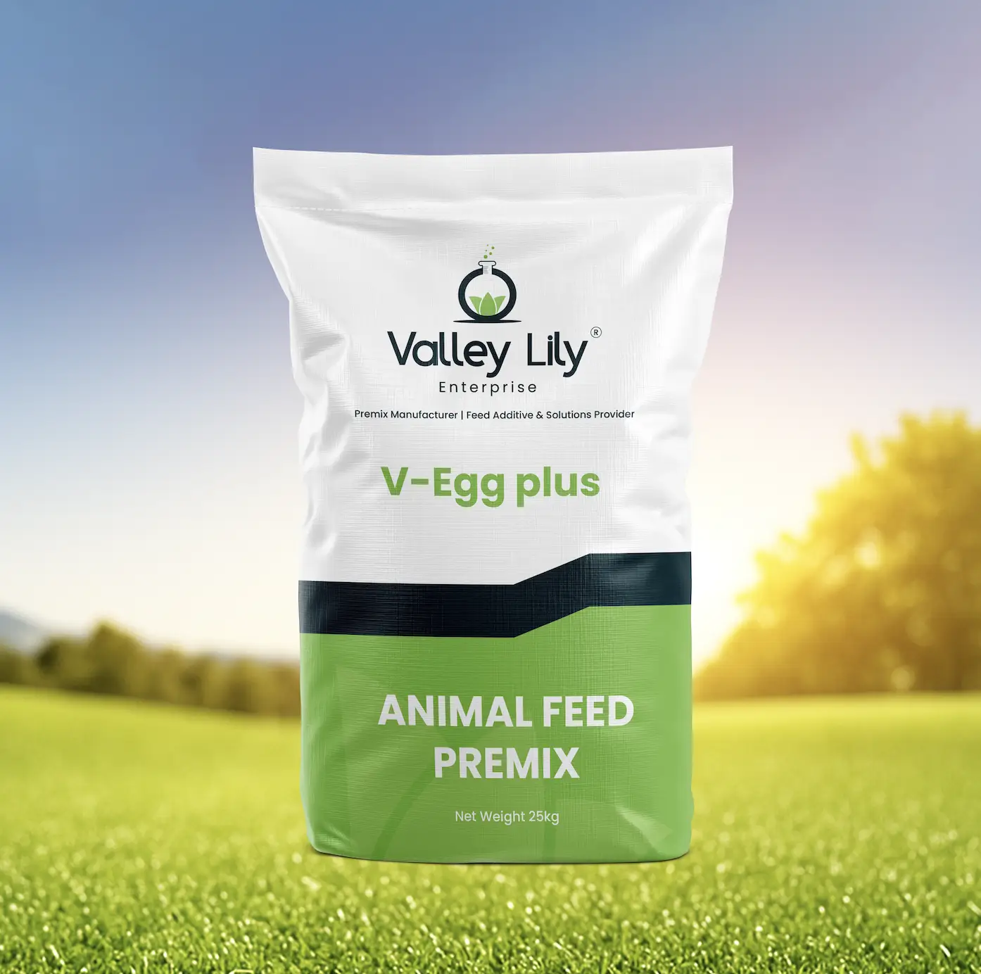 Shanghai ValleyLily Enterprise Co., Ltd.