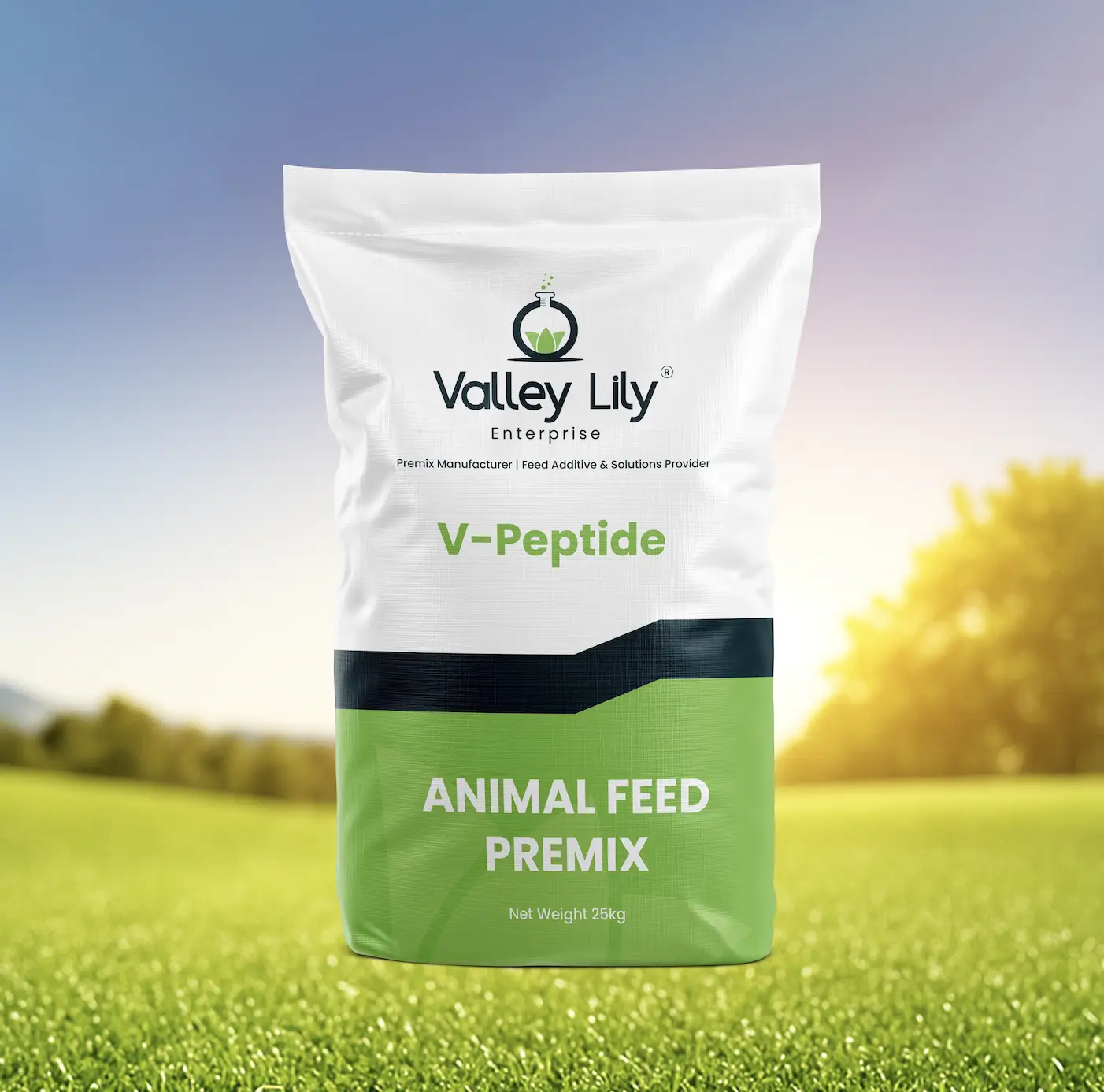 Shanghai ValleyLily Enterprise Co., Ltd.