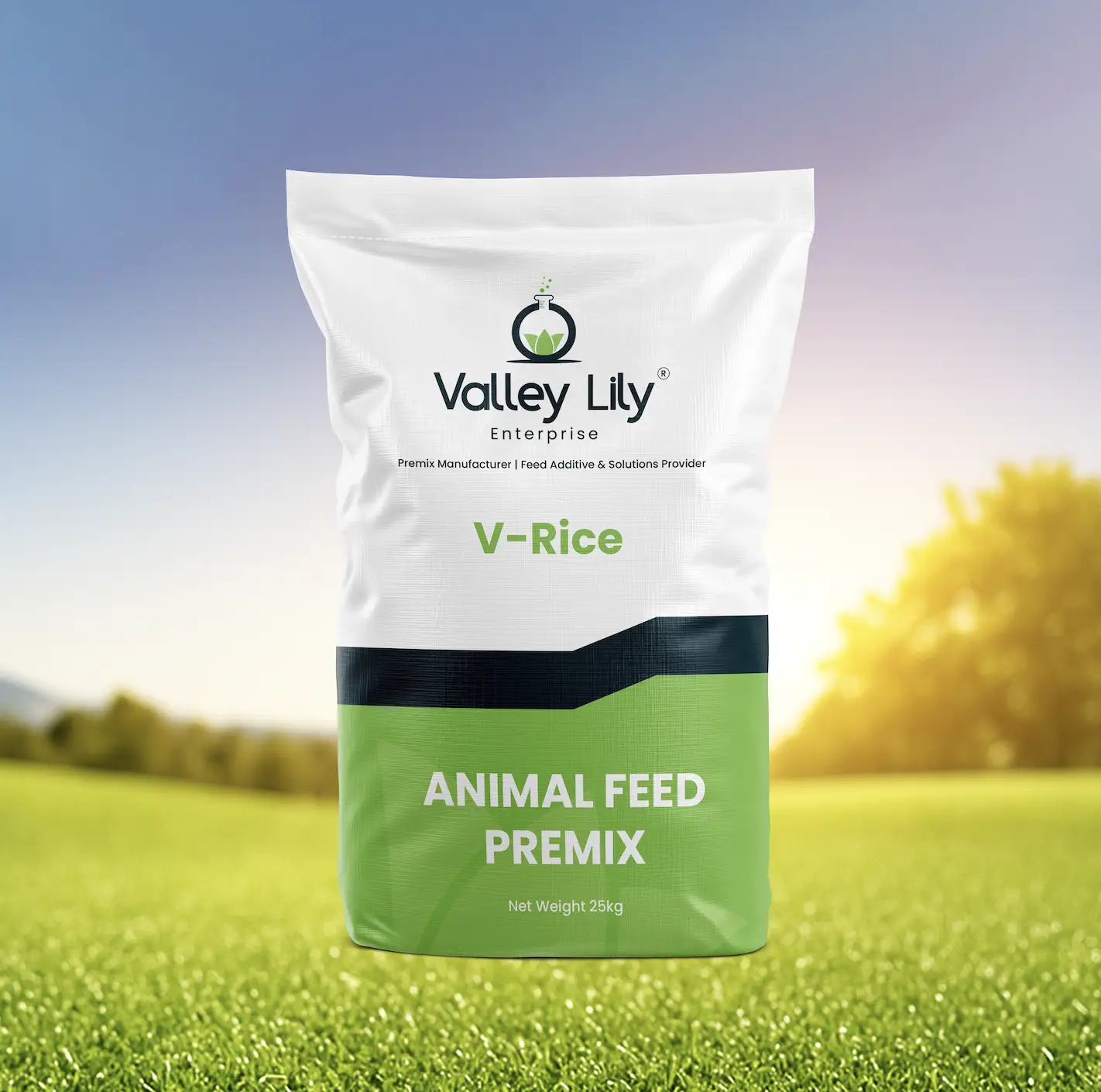 Shanghai ValleyLily Enterprise Co., Ltd.