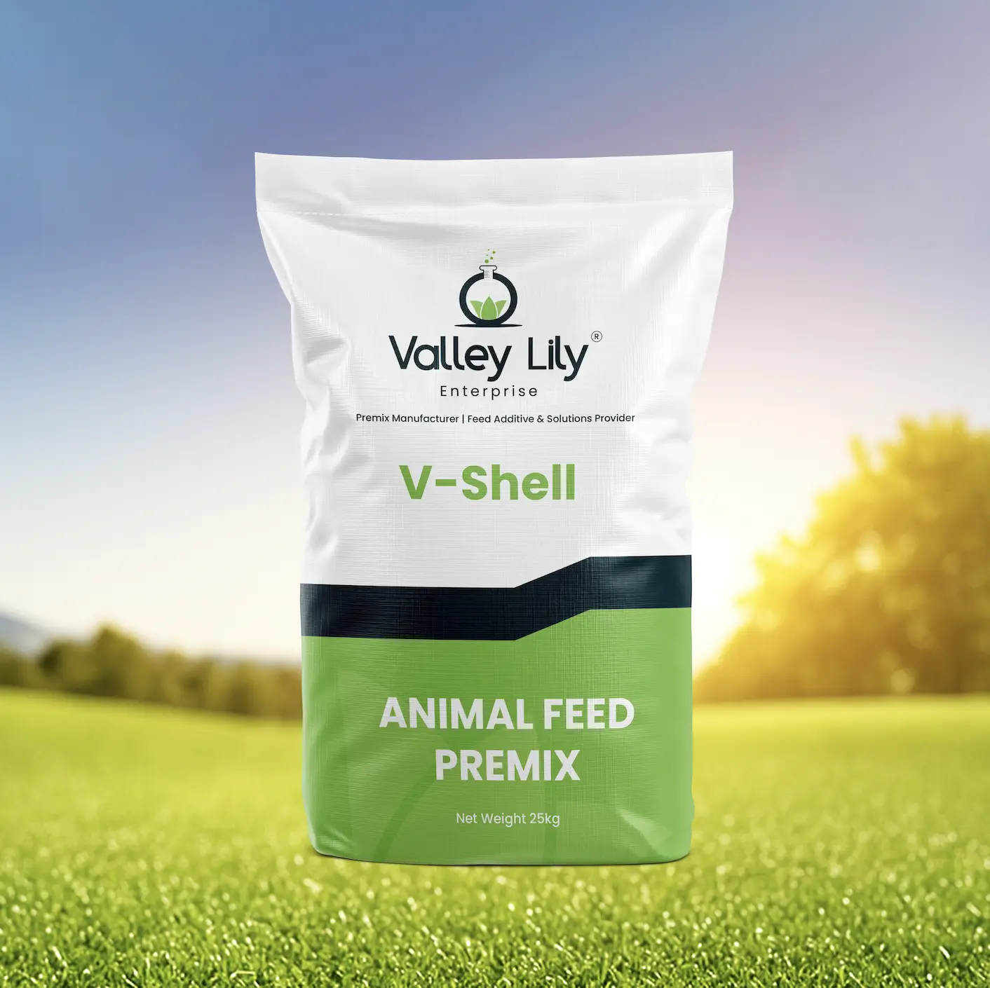 Shanghai ValleyLily Enterprise Co., Ltd.