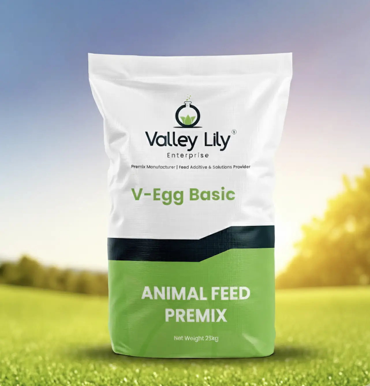 Shanghai ValleyLily Enterprise Co., Ltd.