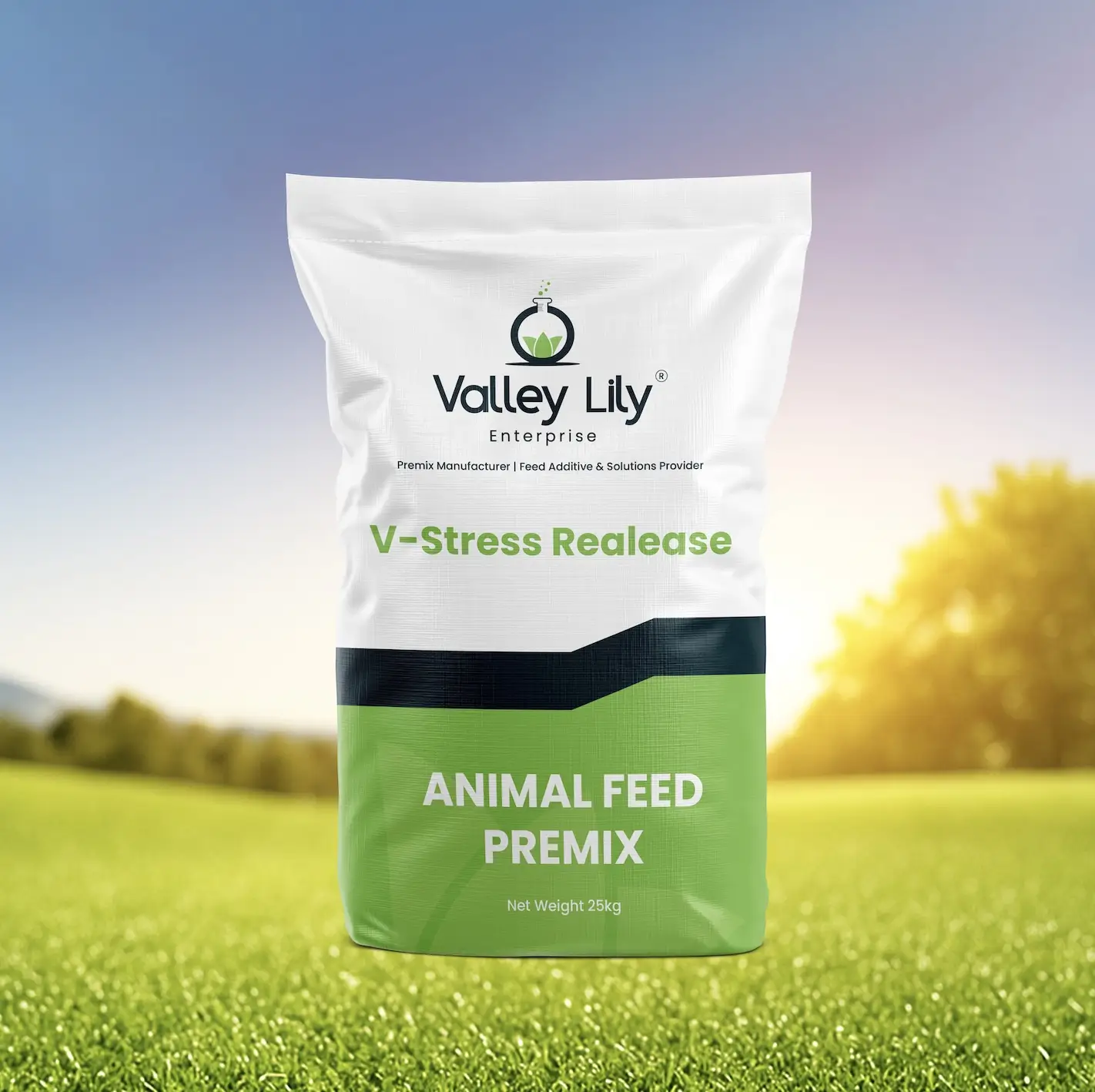 Shanghai ValleyLily Enterprise Co., Ltd.